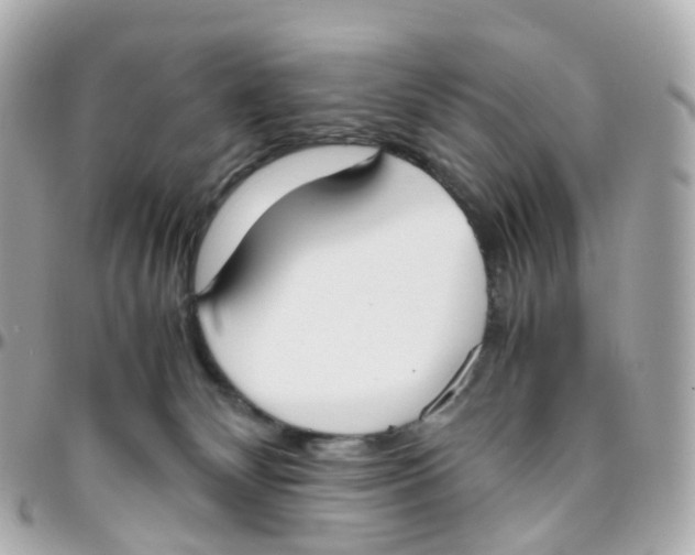 X0000095890132200802011114