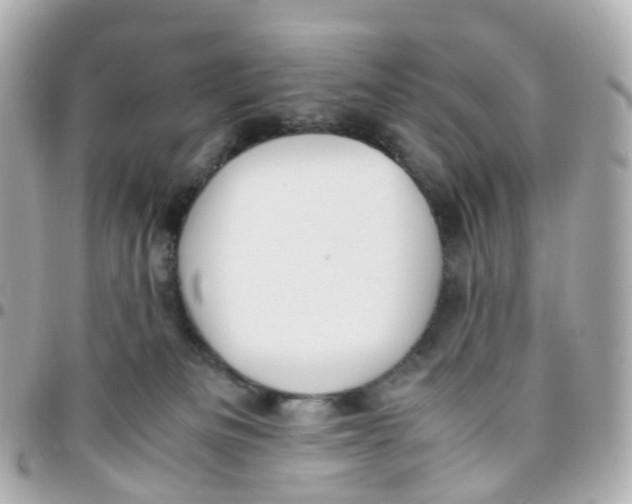X0000095890133200802011114
