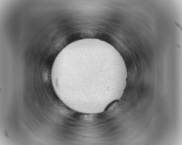 X0000095890134200802011114