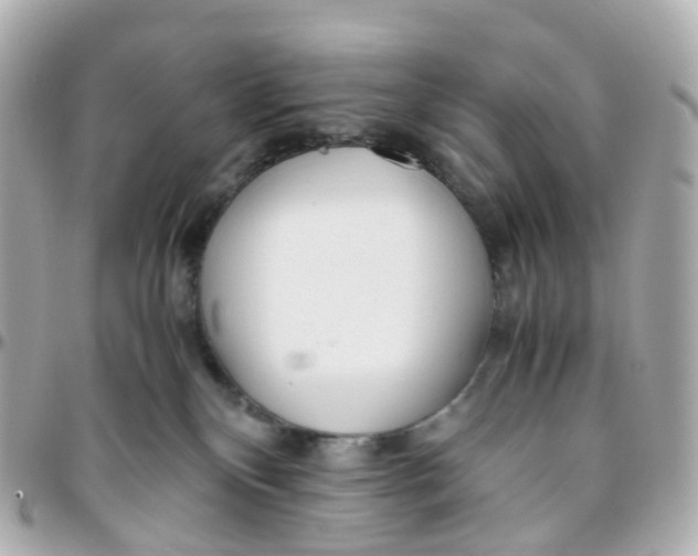 X0000095890136200802011114