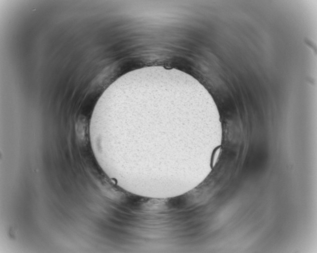 X0000095890138200802011114