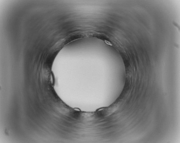 X0000095890139200802011114