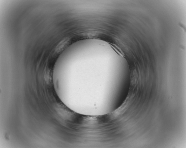 X0000095890140200802011114