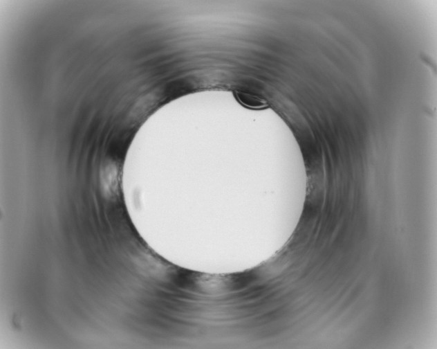 X0000095890142200802011114