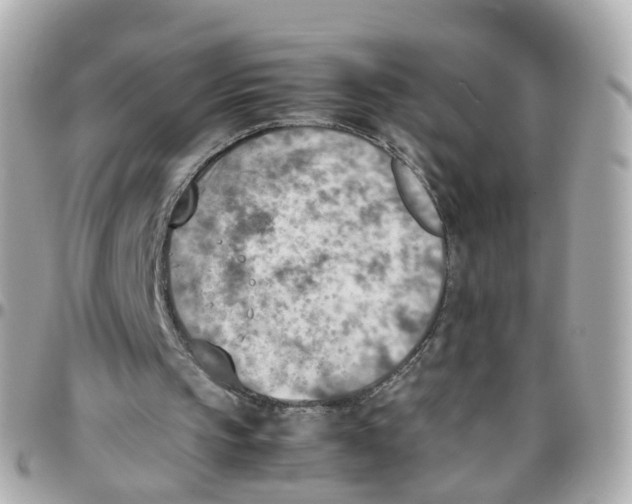 X0000095890145200802011114