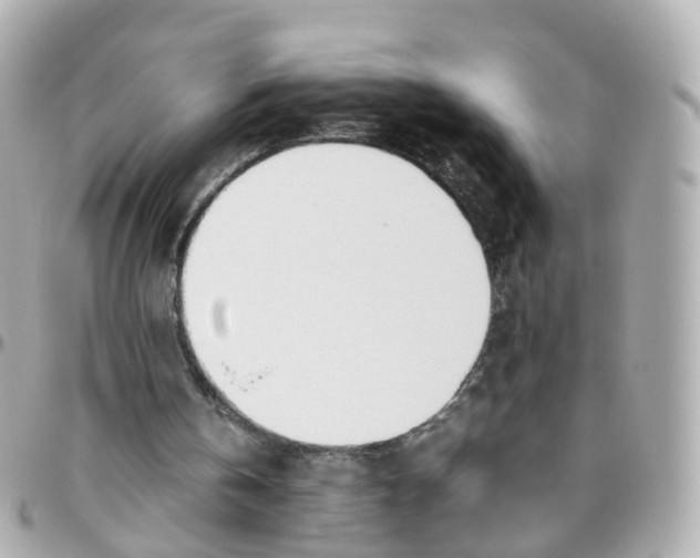 X0000095890146200802011114