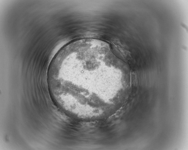 X0000095890147200802011114