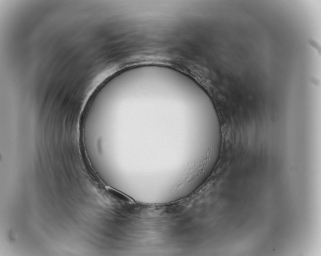 X0000095890148200802011114