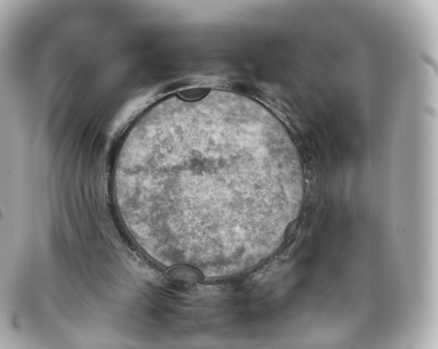 X0000095890149200802011114