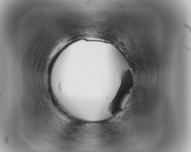 X0000095890150200802011114