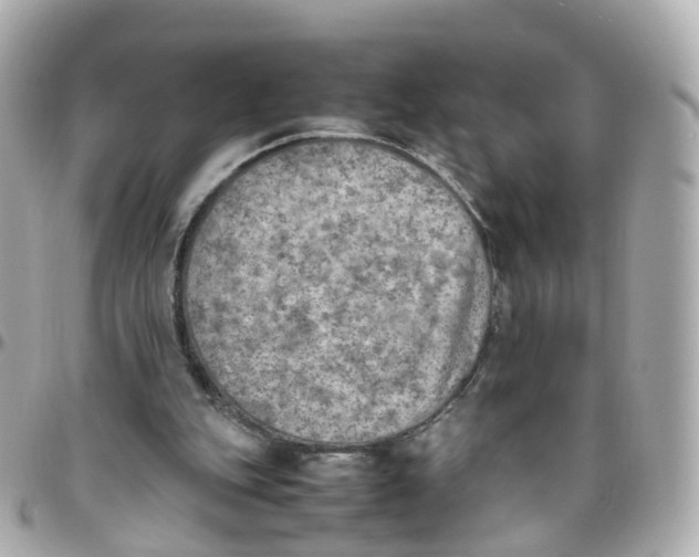 X0000095890151200802011114