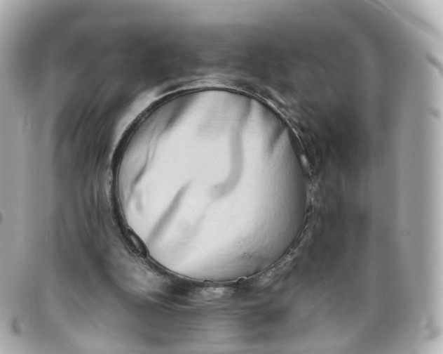 X0000095890152200802011114