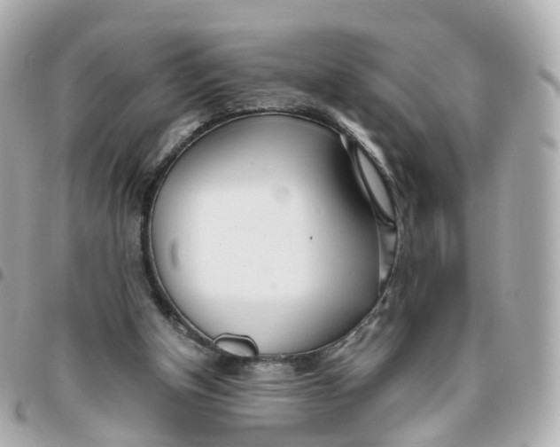 X0000095890154200802011114