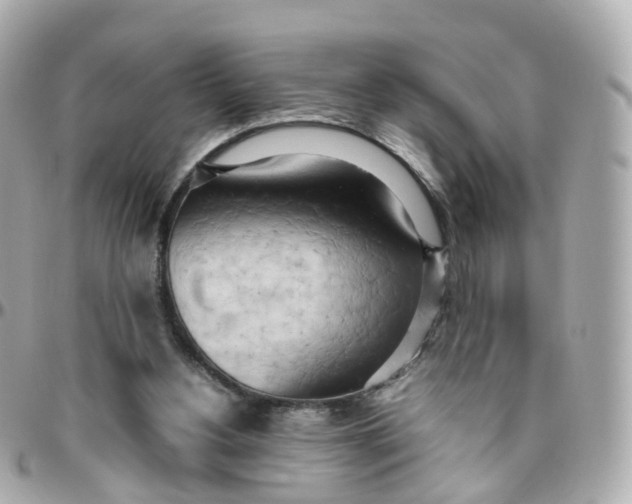X0000095890156200802011114