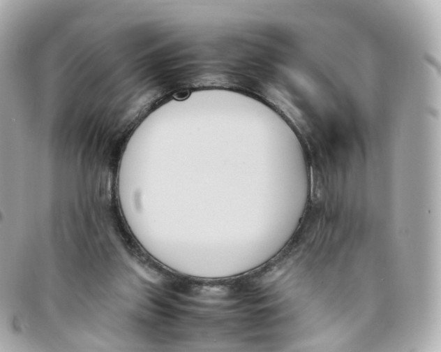 X0000095890157200802011114