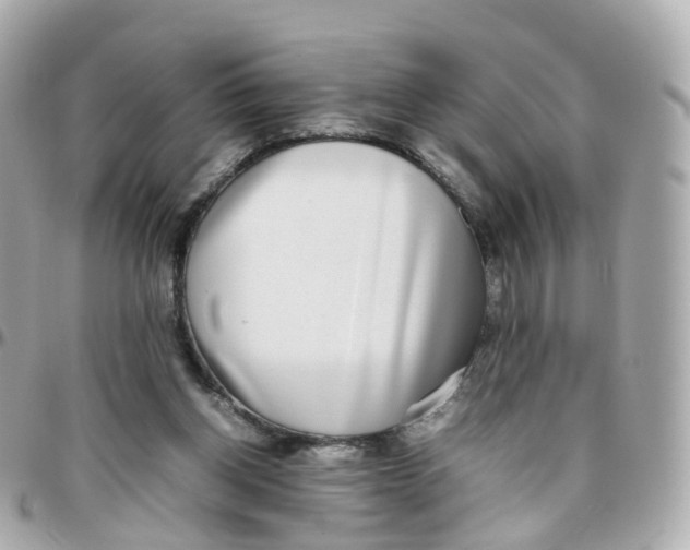 X0000095890158200802011114