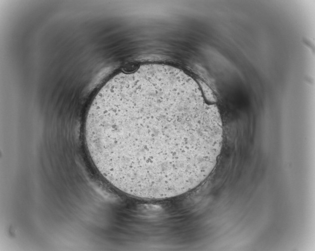 X0000095890159200802011114