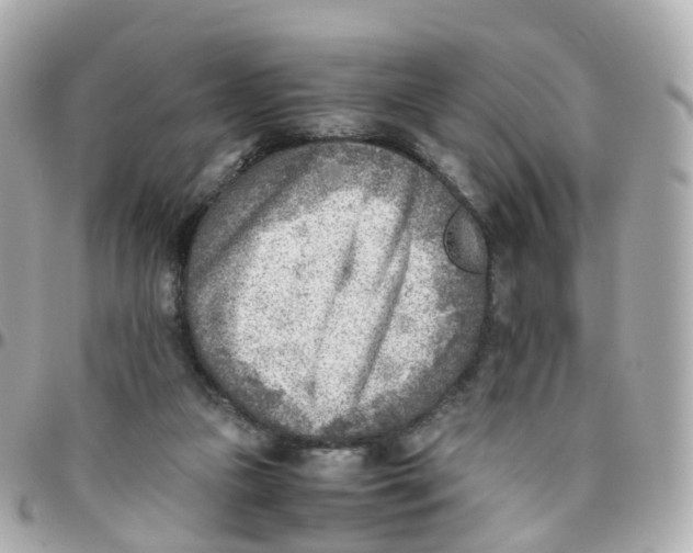 X0000095890161200802011114
