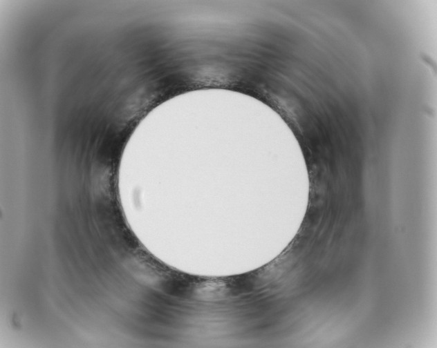 X0000095890162200802011114