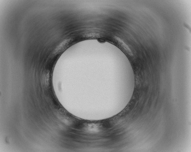 X0000095890163200802011114