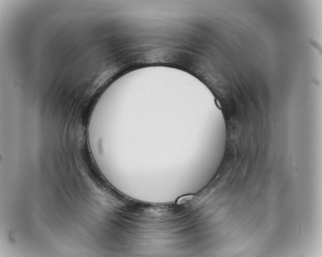 X0000095890164200802011114