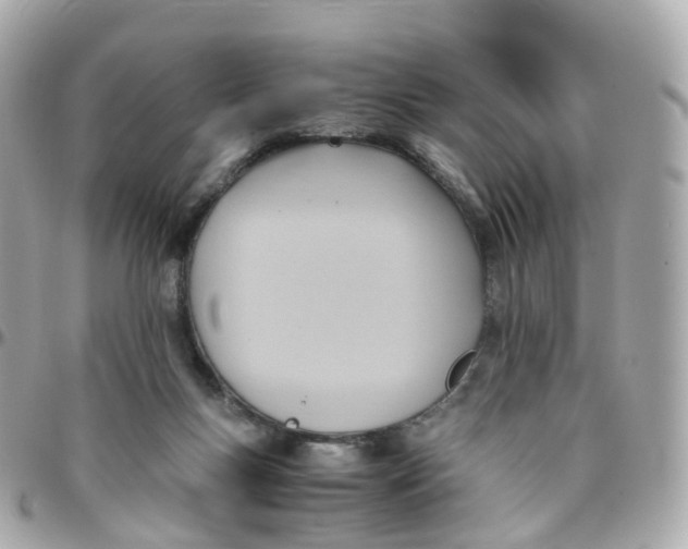 X0000095890167200802011114