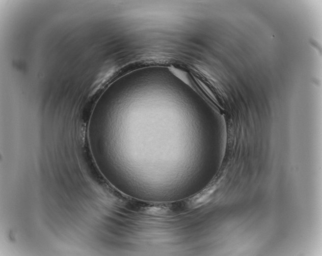 X0000095890168200802011114