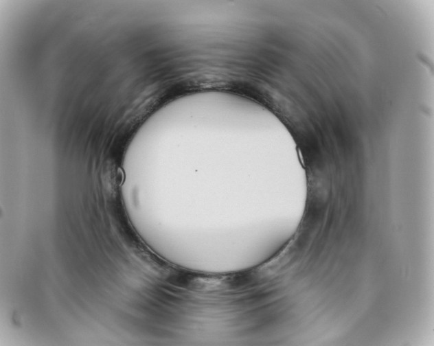 X0000095890170200802011114
