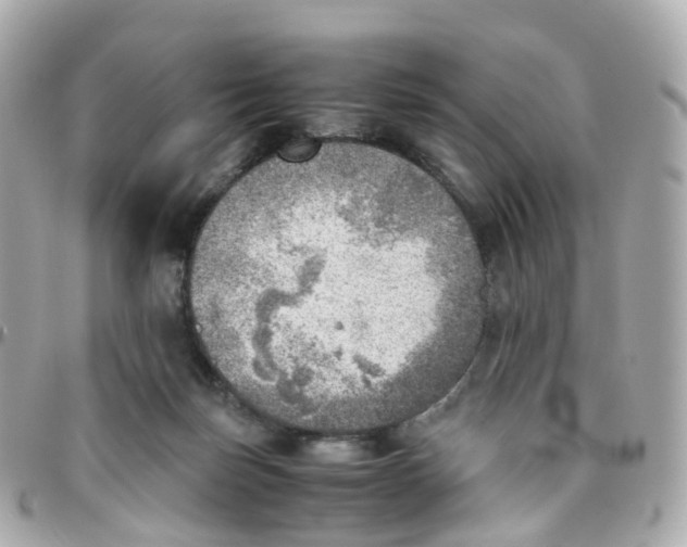 X0000095890171200802011114