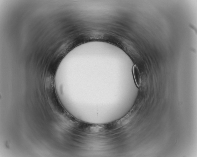 X0000095890172200802011114