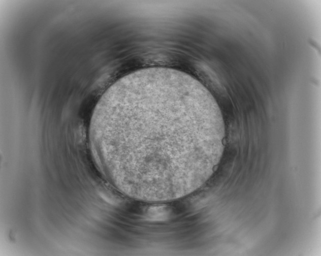 X0000095890173200802011114