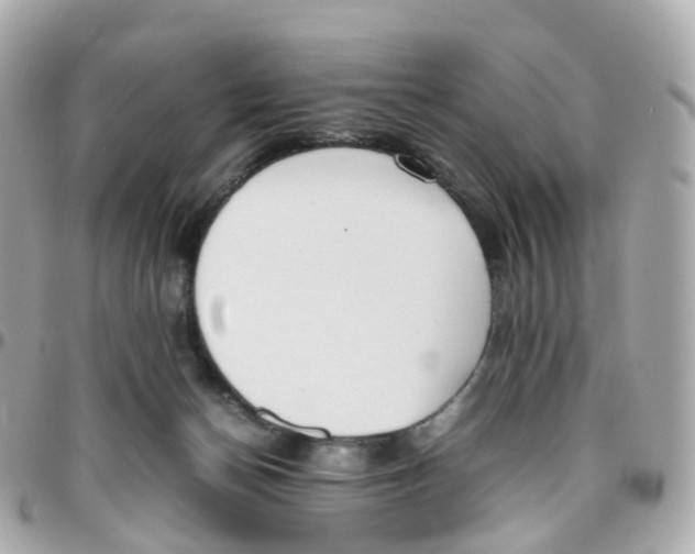 X0000095890174200802011114