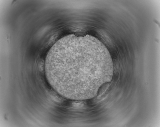 X0000095890175200802011114