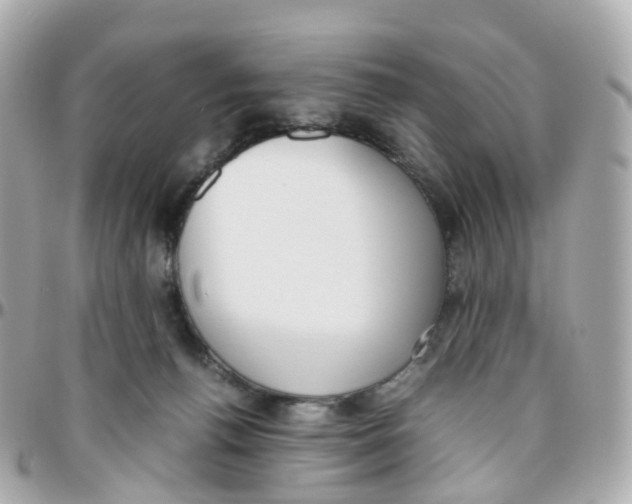 X0000095890176200802011114
