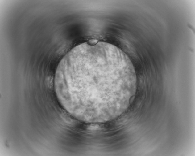X0000095890177200802011114