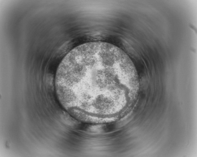 X0000095890178200802011114