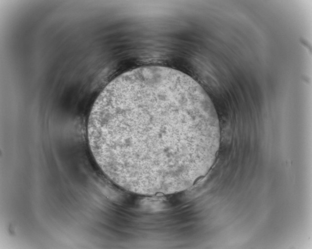X0000095890179200802011114