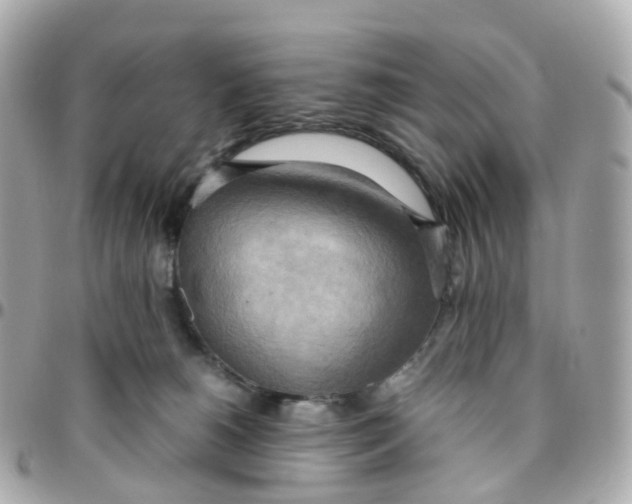 X0000095890180200802011114