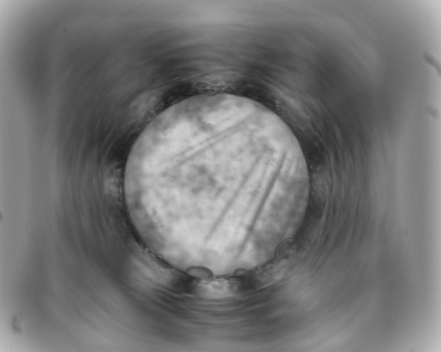 X0000095890181200802011114