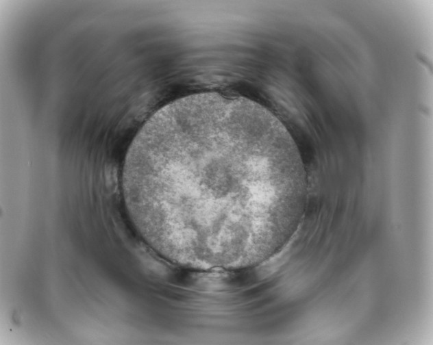 X0000095890182200802011114