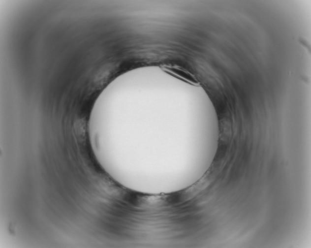 X0000095890184200802011114