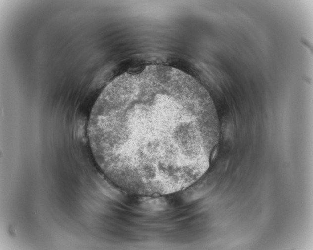 X0000095890185200802011114