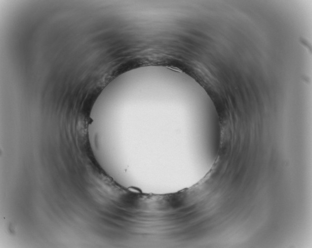 X0000095890186200802011114