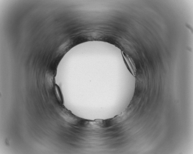 X0000095890188200802011114