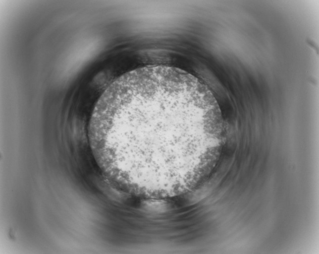 X0000095890189200802011114