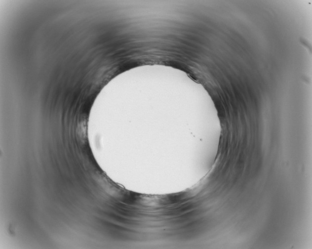 X0000095890190200802011114