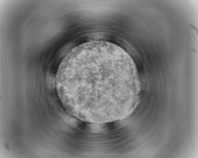 X0000095890191200802011114