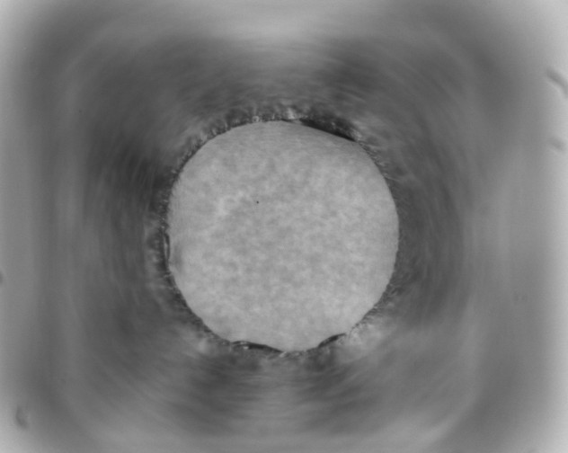 X0000095890192200802011114