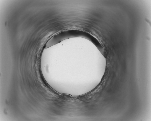 X0000095890193200802011114