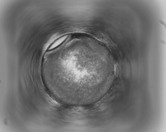 X0000095890195200802011114